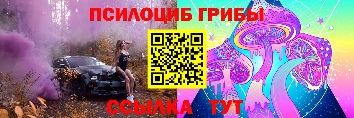 Псилоцибиновые грибы прущие грибы Ивантеевка
